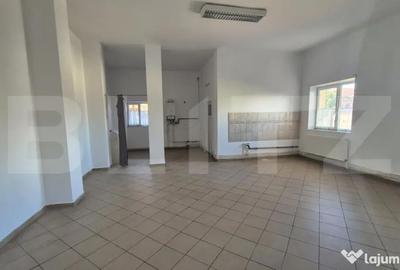Spațiu comercial, de 773 mp, în Lucian Blaga - 11