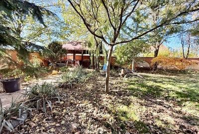 Duplex 14 camere Pantelimon Cernica 864 mp desfasurati - 11