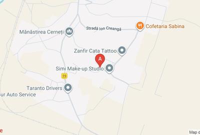 Vând casă  cu teren în sat Cerneti  com Simian jud.Mh. aproape de Dr Tr Severin - 1