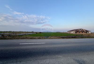 Teren Construcții intravilan de 12360 mp, în Boțârlău - 1