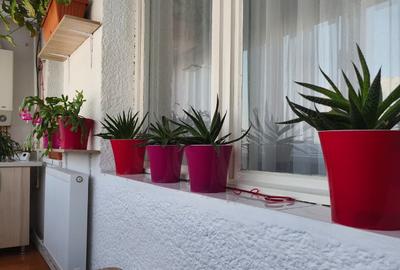 Apartament 3 camere in Deva, zona Iuliu Maniu - 7