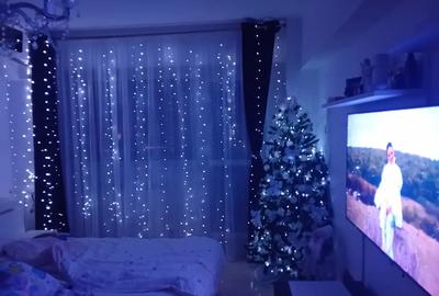 Apartament cu 2 camere semidecomandat în Central - 10