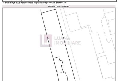 Casă individuală cu 4 camere cu Canalizare în Turnișor - 4
