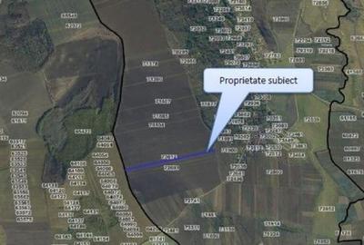 Teren Extravilan Pribesti, ID: R2774827 - 3