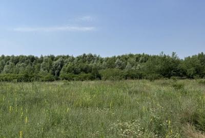 Domnesti - Strada Salciei - Teren intravilan 500 mp x 2 loturi - 2