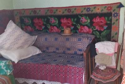 Casă cu 3 camere cu Teren 3050 Mp în Podu Iloaiei - 1