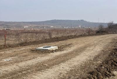 Teren de 2500 mp, în Mărăcineanu - 5