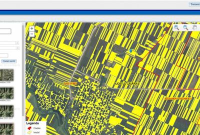 12 Ha Teren Agricol Vlad Tepes CL - 3