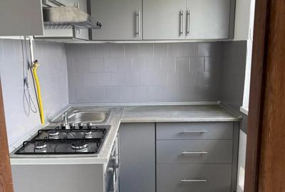 Apartament cu doua camere - 2