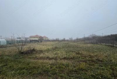 Teren de 1409 mp, în Dumbrăvița
