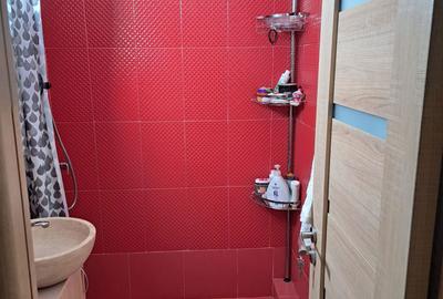 Garsonieră decomandată în Alexandru cel Bun - 4