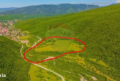 Spațiu comercial, în Gârcini - 4