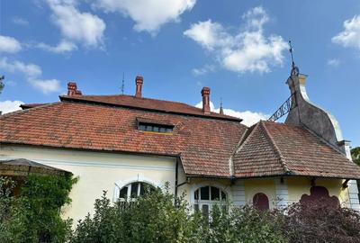 Casă cu 6 camere cu Teren 5000 Mp în Central - 11