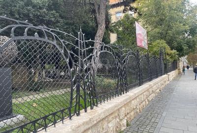 Oaza de liniste in Centrul orasului Cluj-Napoca. Garaj. - 2