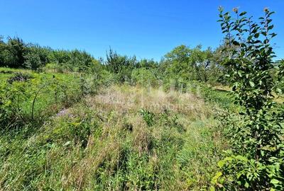 Teren intravilan | 1000mp | Front 32m | Zona Romul Ladea | Borhanci - 2