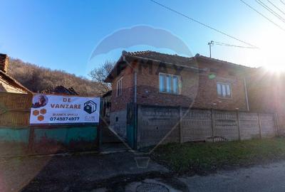 Casă cu 4 camere cu Teren 390 Mp în Peștenița - 6