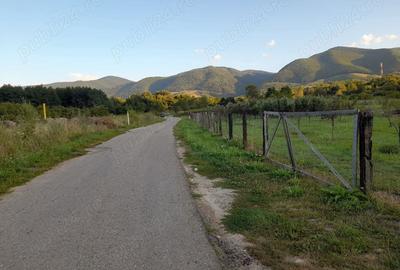 Teren de 2400 mp, în Păucinești