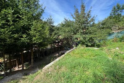 Apartament 3 camere de inchiriat - Brasov, Schei, zona Podul Cretului - 5