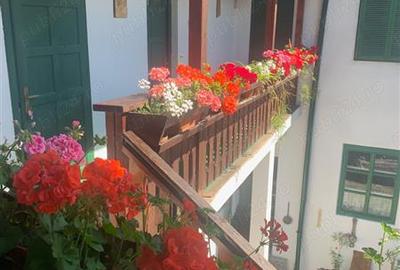 Casă cu 11 camere cu Teren 357 Mp în Cetății - 12