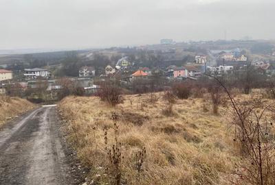 Teren intravilan Str.Oasului/V.Chintaului cu PUZ in lucru 2100 mp - 3