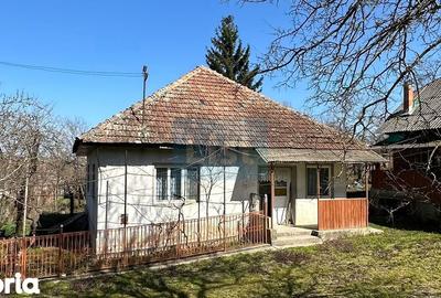 Casă cu 3 camere cu Teren 3349 Mp în Central - 1