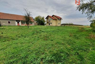 Casa cu 5 camere, 236 mp, teren 5805 mp, gaz, Brestea - Denta - 40