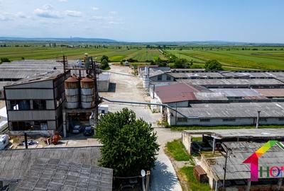 Teren 100.000 mp + Spatii Industriale Bacau - 10