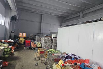 Hala 300 mp + teren 750 mp Popesti Leordeni - 4