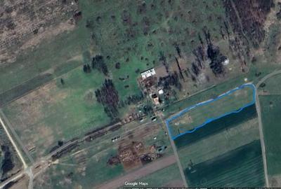 Teren de 2500 mp, în Moșnița Nouă