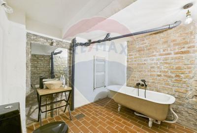 Spatiu comercial-Demisol-Atelier de arta - 14