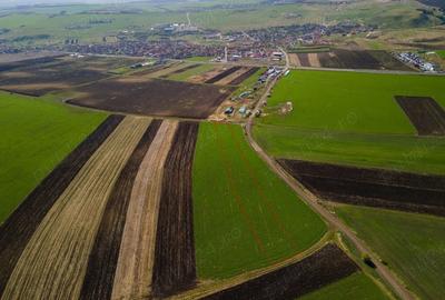 Teren de 8000 mp, în Copăceni - 4