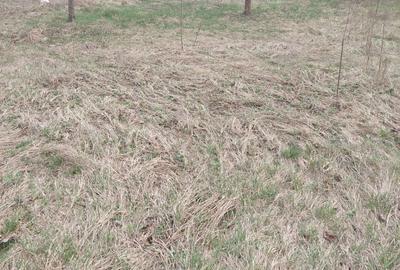 Teren Construcții intravilan de 690 mp, în Liceul Militar - 3