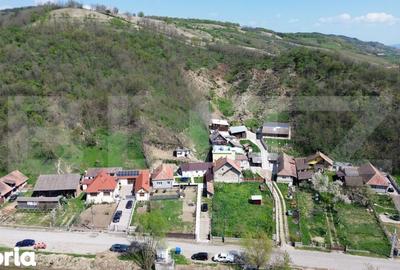 Casă cu 3 camere cu Teren 4700 Mp în Vințu de Jos - 12