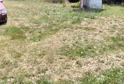 Casa batraneasca 20.000 euro - 6