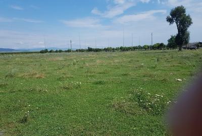 Teren agricol intravilan, Cristian ! - 2