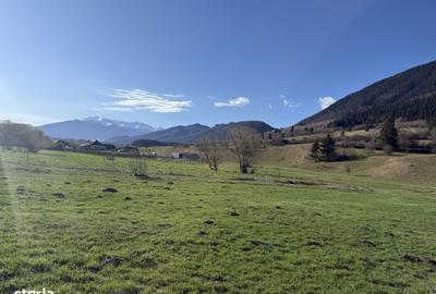 Spațiu comercial, în Plaiul Foii - 11