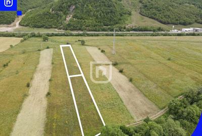 Teren Vorone? | Gura Humorului | Suceava - Bucovina - 28... - 4