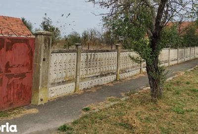 Casă cu 4 camere cu Teren 6153 Mp în Boldur - 7