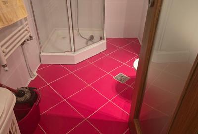 Apartament cu 2 camere decomandat în Decebal - 6