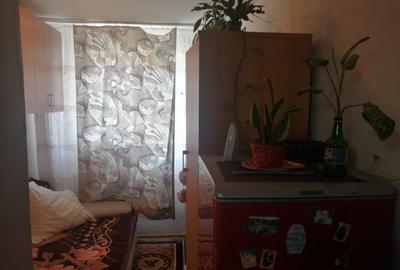 ALUNISULUI - GARSONIERA CONFORT 2, 11 MP. - 5