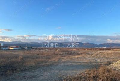 Vanzare teren intravilan 2,5 ha - infrastructura industriala ?i hala func?ionala - 6