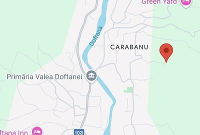 Teren de 2900 mp, în Secăria - 5