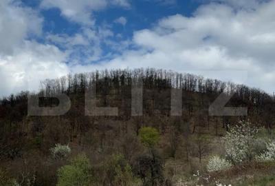 Teren de 19100 mp, în Central - 2