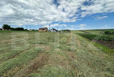 Ocazie, teren intravilan + casa batraneasca , zona Moara Car - 1