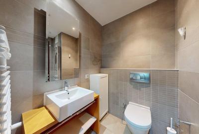 Apartament cu 3 camere semidecomandat, mobilat în Dristor - 18