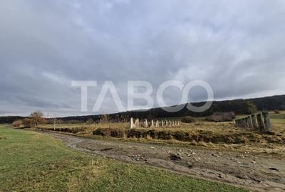 Teren intravilan de vanzare in Rasinari zona Calinis - 890 mp - 5