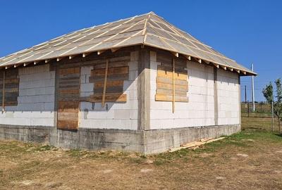 Casă cu 3 camere în Berchișești - 6