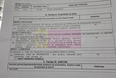 Teren agricol extravilan de 62600 mp, în Albota - 6