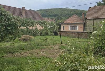 Casă cu 4 camere în Teliu - 3