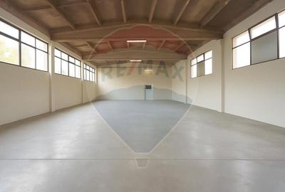 Spațiu industrial, de 210 mp, în Tăuții de Sus - 1